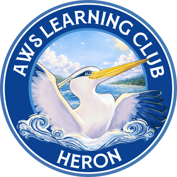AWS Heron